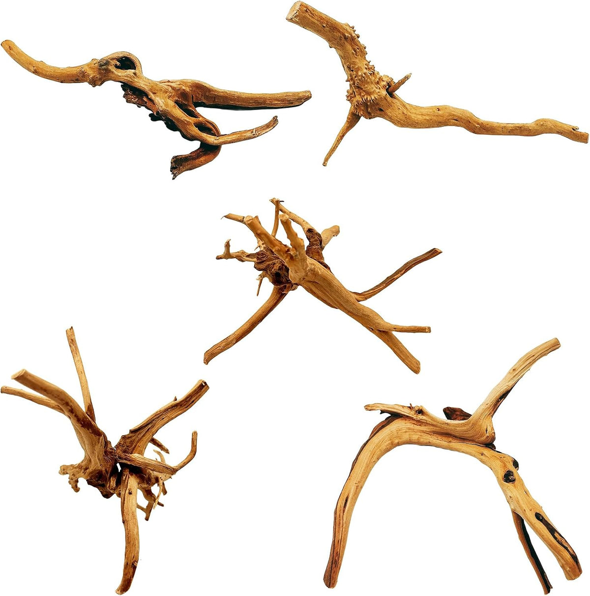 5PCS Driftwood for Aquarium 7-9in Natural Reptile Spider Wood - M:Spiderwood 7-9in 5PCS