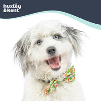 Huxley & Kent Pet Bow Tie for Dogs & Cats - Cookie Monster / Large - image 3