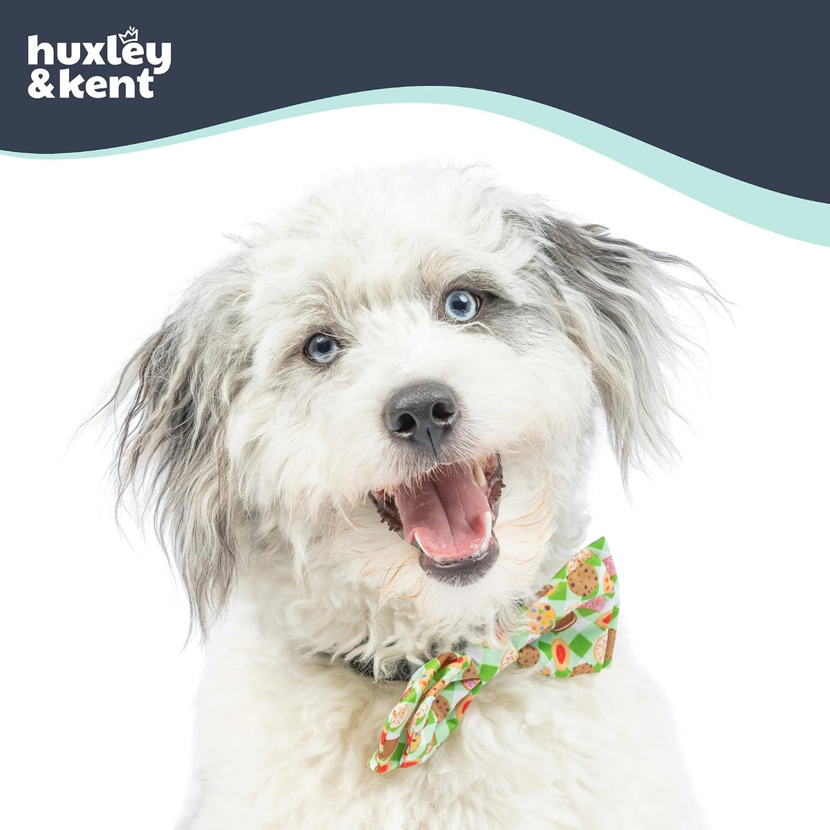 Huxley & Kent Pet Bow Tie for Dogs & Cats - Cookie Monster / Large - image 3