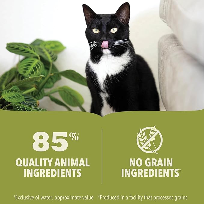 ACANA PREMIUM PATE Wet Cat Food, Lamb & Lamb Liver Recipe in Beef Bone Broth, 5.5oz (Case of 12)