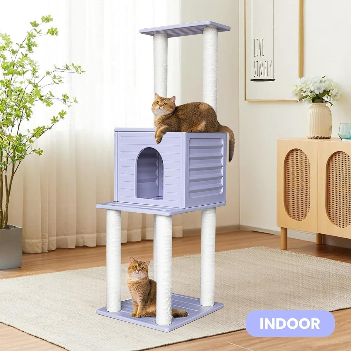 62"Tall Outdoor Cat Tree,Weatherproof Large Cat Condo with Scratching Posts – Essentials for Cats - CTT-3 - image 4