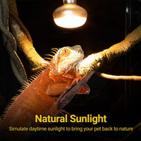 REPTI ZOO 2 Pack Heat Lamp 100W - Natural Basking Light Bulb 150W - image 2