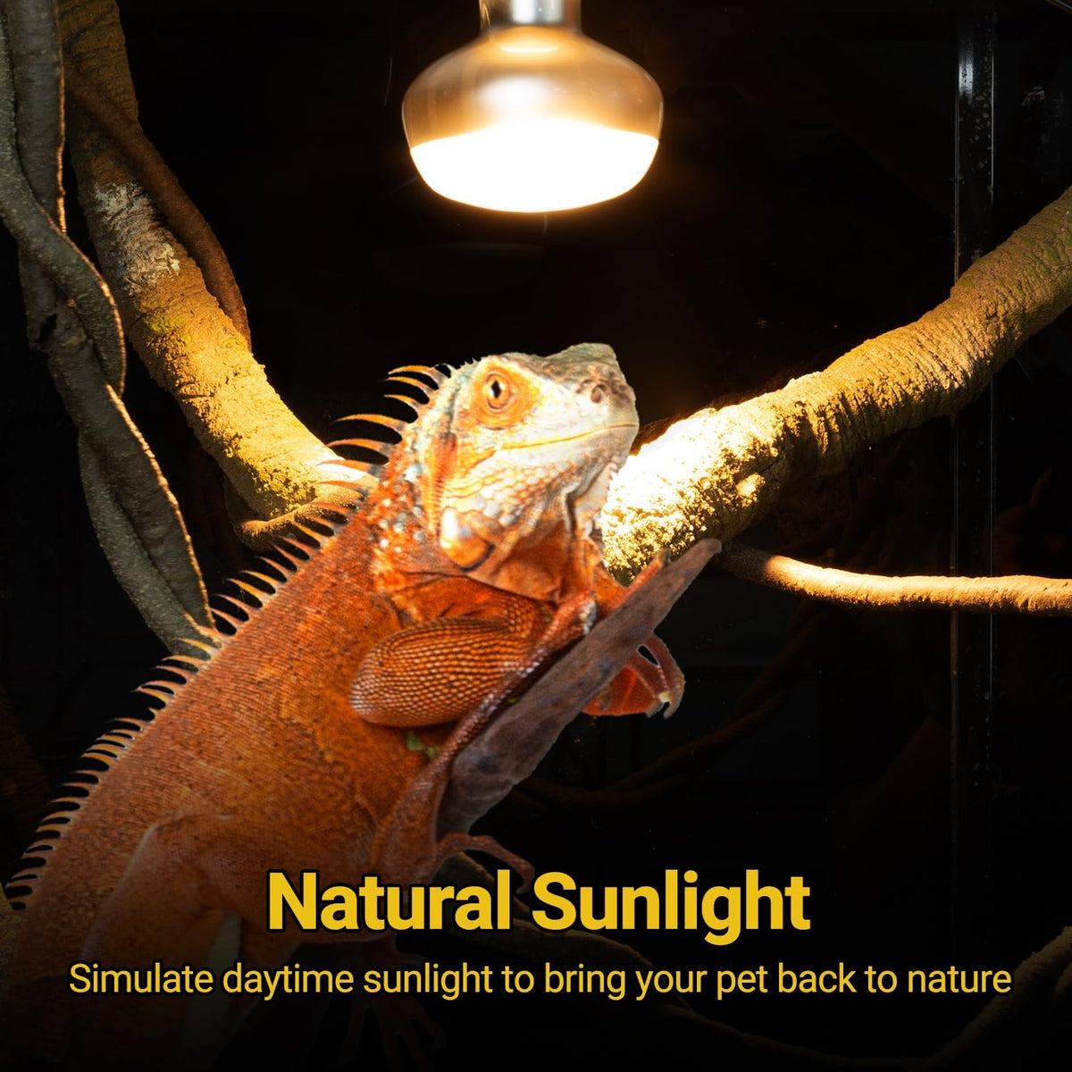 REPTI ZOO 2 Pack Heat Lamp 100W - Natural Basking Light Bulb 150W - image 2