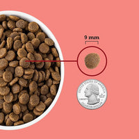 ACANA Highest Protein Dry Cat Food Indoor Cat Food Recipe 10lb Bag