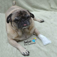 Outdoor Water Proof Cover. Slides Over MediMitts for Dogs paw (which are Sold Separately) Fastens with Medimitt Strap. Useful for hot Spots, Allergies and More. Value 20pack (Medium)