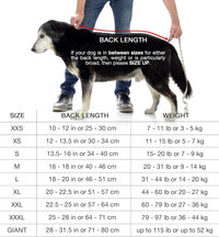 Lucky Pooch Dog Robe, Luxurious Dog Bathrobe - XL / French Navy - image 2