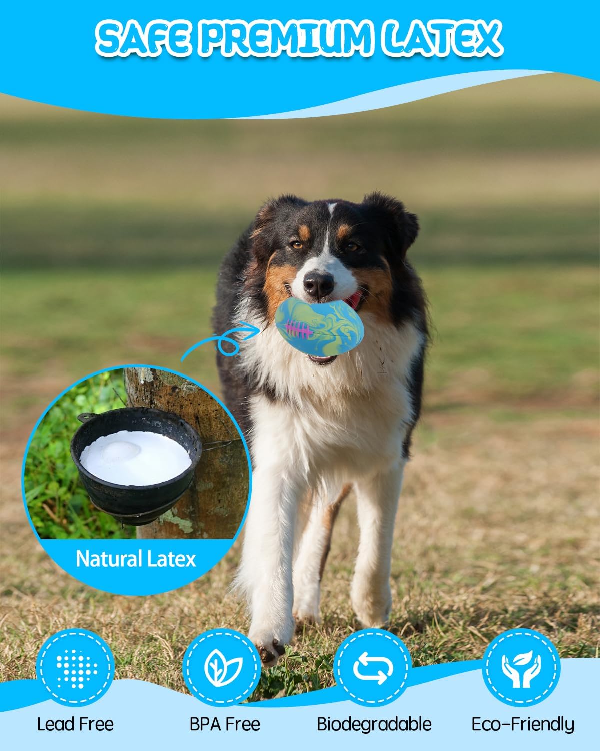 SCHITEC Dog Squeaky Toy Balls, Puppy Tennis Balls for Fetch Play - For Medium/Large Dogs / Football - image 4