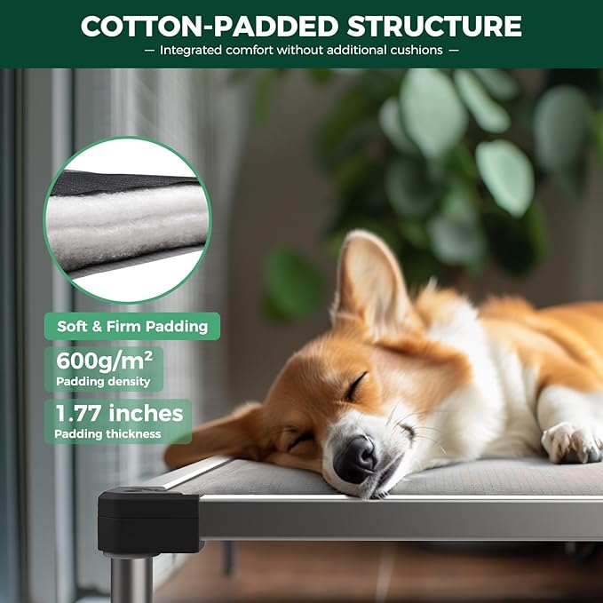 FXW TitanNest Chew-Proof Elevated Dog Bed, Raised Cot for Indoor/Outdoor/Camping Use, Durable & Washable Padded Pet Bed for Medium Dogs, 41.0" L x 27.0" W x 5.0" H, Black