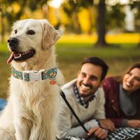 ARING PET Halloween Dog Collar-Cute Fall Dog Collar for Small Dogs - Large / Fall Two Pumpkin - image 2