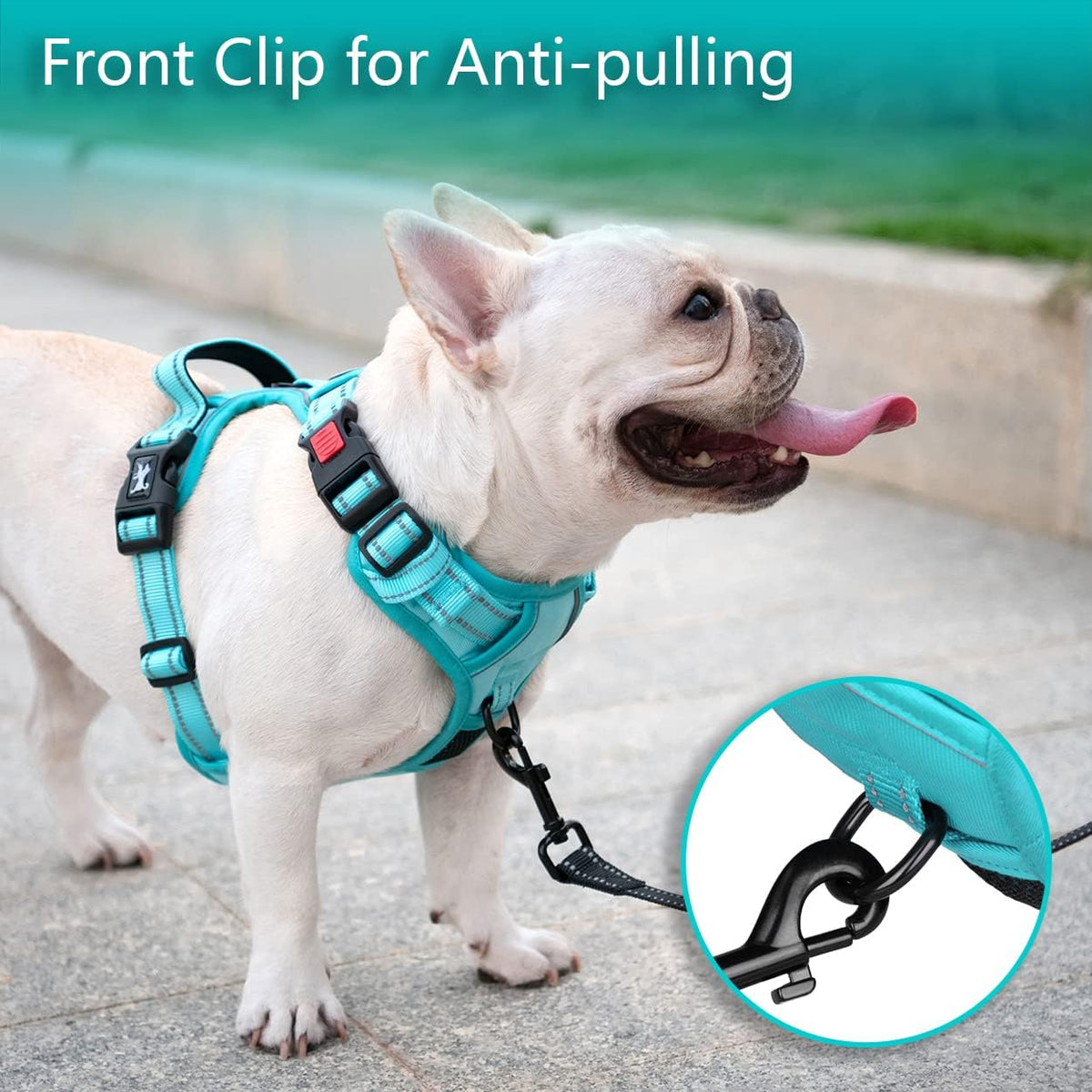 PoyPet No Pull Dog Harness Medium with Front Clip & Neck Release - XL / Mint Blue(Matching Trim) - image 3