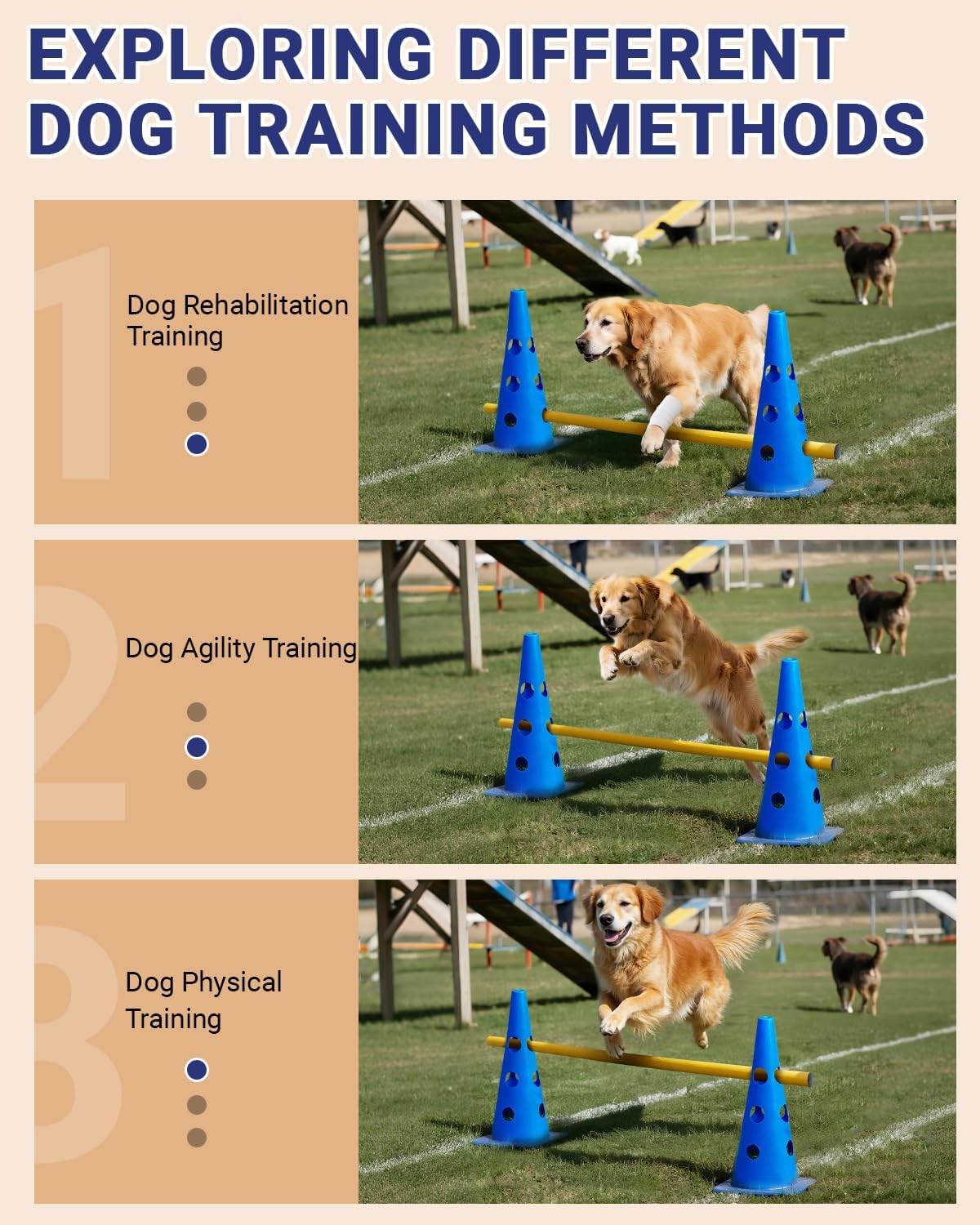 Dog Agility Course Backyard Set - 18 IN / Blue - image 3