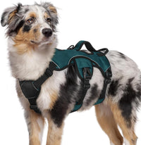 rabbitgoo Escape Proof Dog Harness for Large - Dark Green / Medium