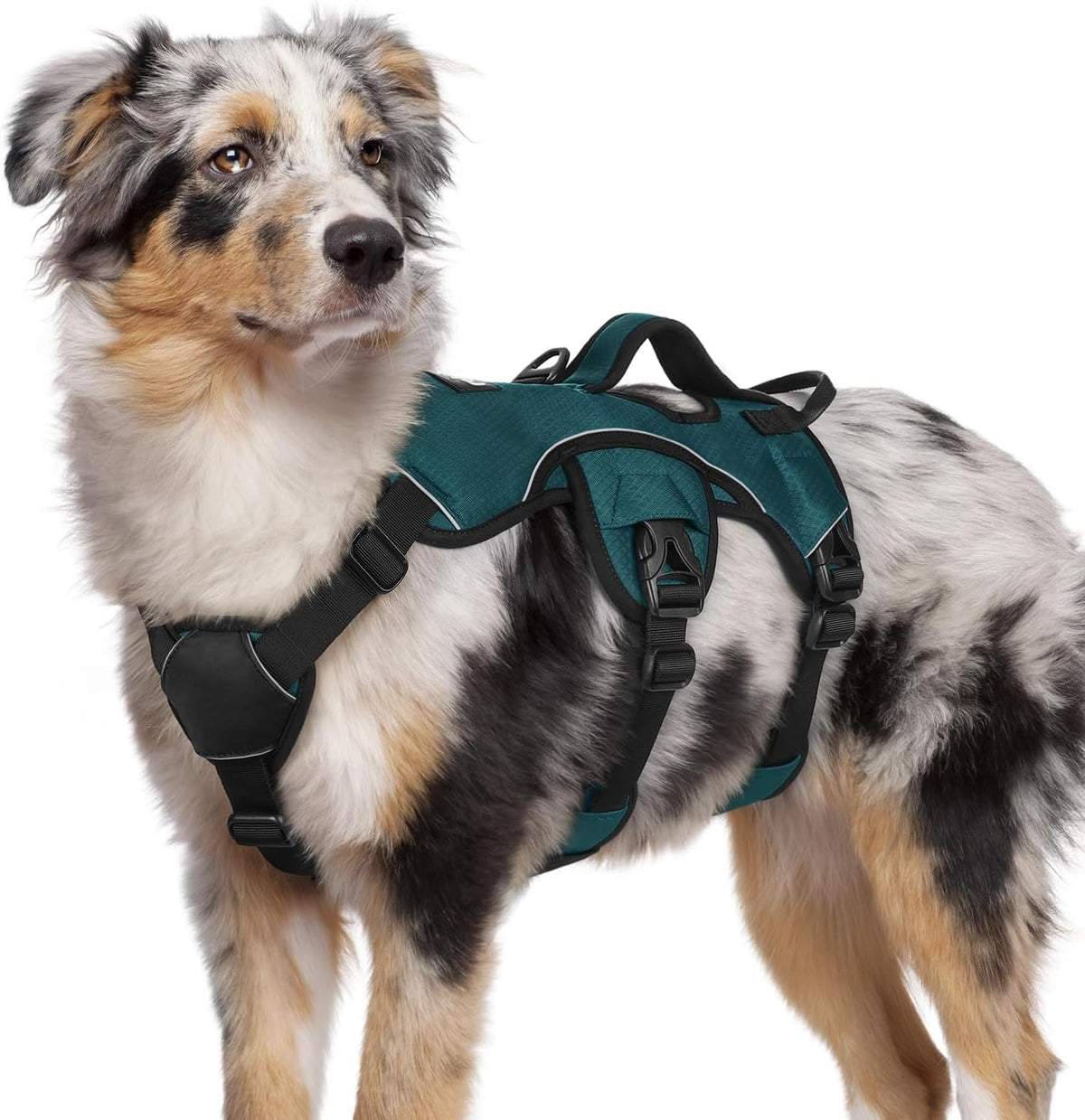 rabbitgoo Escape Proof Dog Harness for Large - Dark Green / Medium