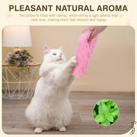 Cat Toys Cat Pillows Toys, 3 Pack Interactive Kicker Catnip Toys, Soft Durable Teething Chew Toy, Promote Exercise for Indoor (Green, Pink, Blue, 1)