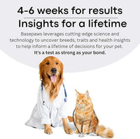 Basepaws Cat DNA Test Kit 2 Pack- Comprehensive Breed, Health and Dental Analysis Across 114 Traits for Accurate and Easy-to-Use Genetic Insights