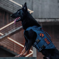 OneTigris No Pull Tactical Dog Harness for Medium Dogs - Blue / L - image 4