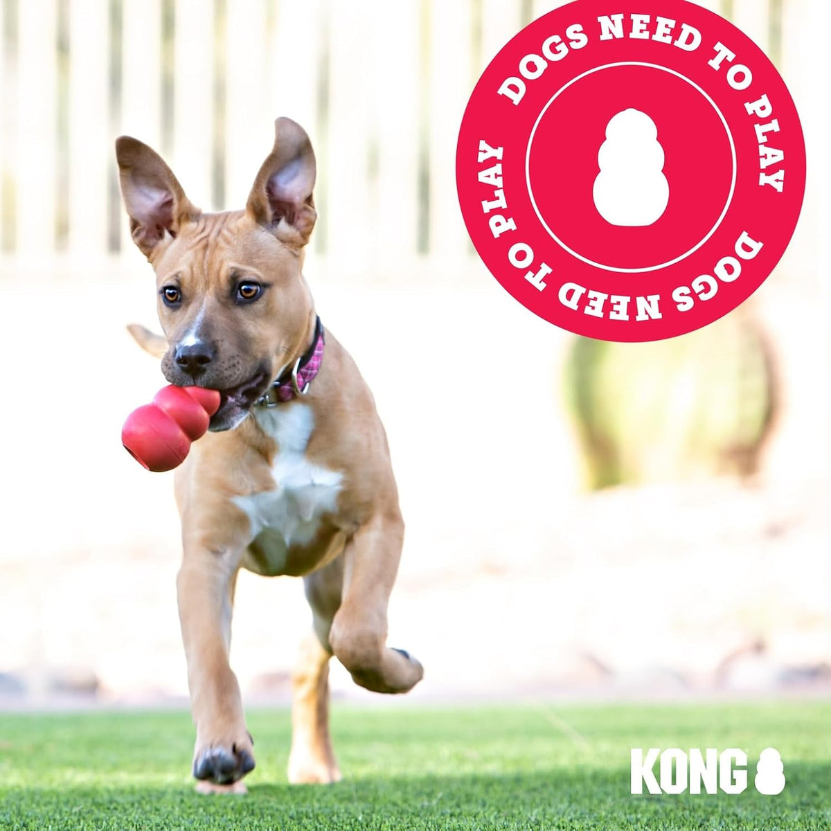 KONG Puppy, Natural Rubber Teething Chew Toy, for Small Puppies - Extra Small (Pack of 3) / Pink - image 4
