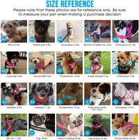 Lukovee Small Dog Harness and Leash Set, No Pull Soft Padded, XS - Blue / XS ( Chest 14'' ~ 18'') - image 2