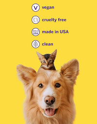 Petsmile Professional Pet Teeth Brushing Kit for Cats & Dogs - Only VOHC Accepted Toothpaste & Patented Toothbrush - Proven to Control Plaque & Tartar Calprox Formula (London Broil, 2.5 Oz)