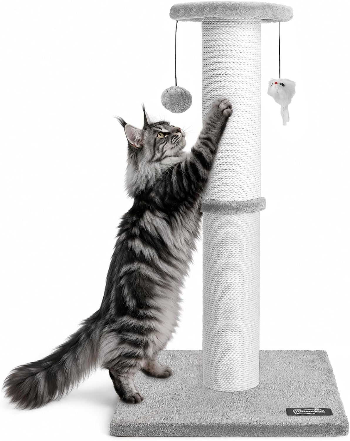 34-Inch Tall Cat Scratching Post for Large Cats, Stable Base - Light Gray