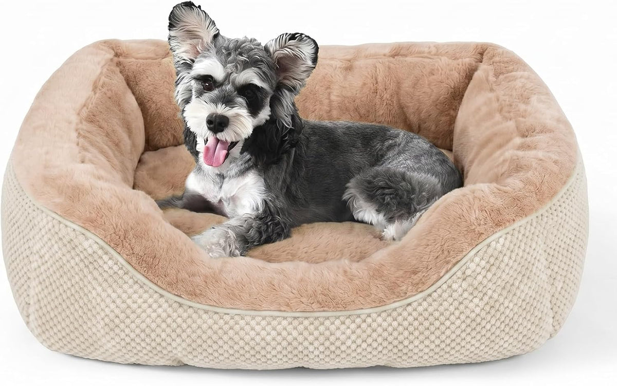 Medium Dog Beds for Medium Dogs Washable - S (20"x19"x6") / Beige