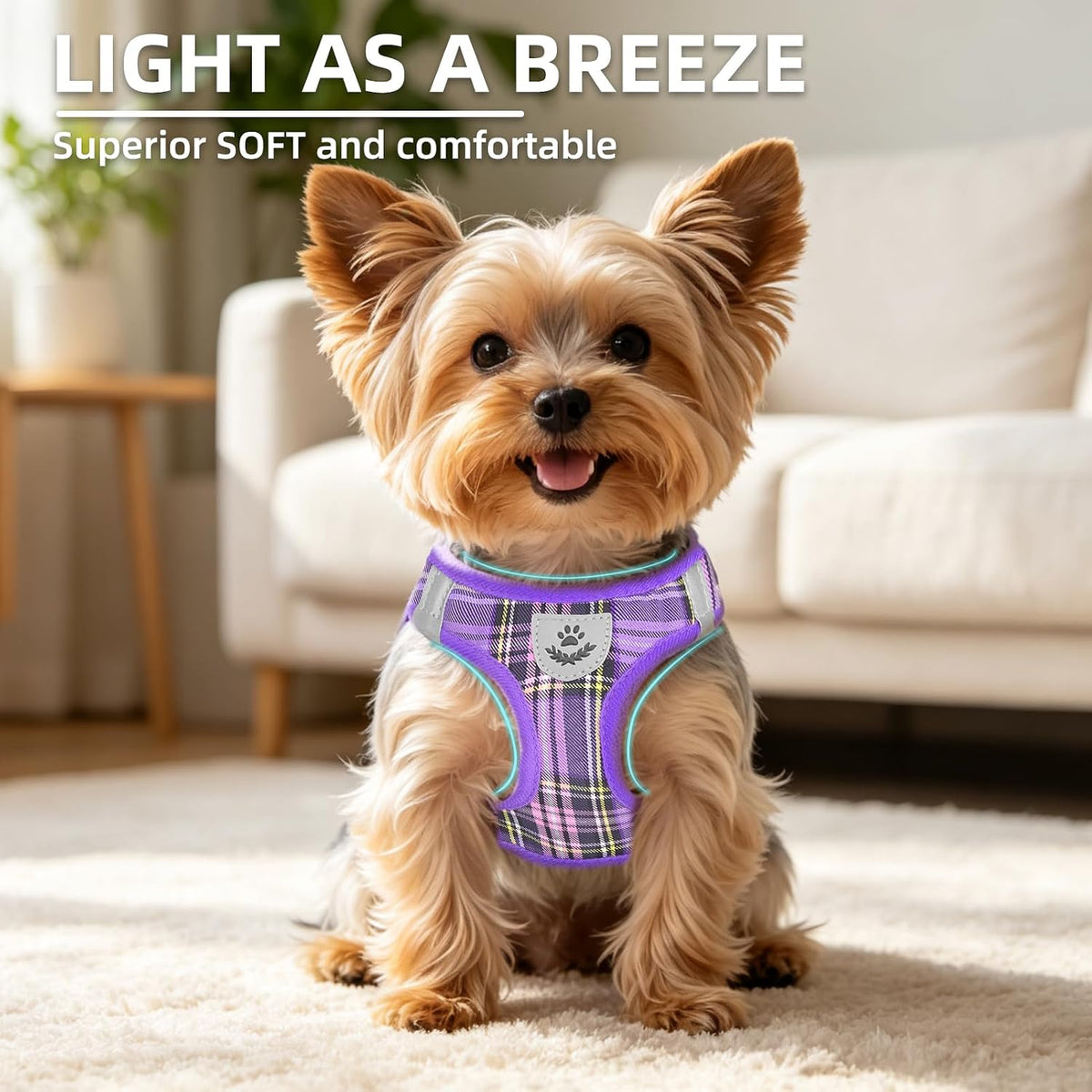 PUPTECK Dog Harness, Collar and Leash Set No Pull for Small Medium Sized – Essentials for Dogs - Purple / M (CHEST 16"-18") / Patterned Harness Collar and Leash Set - image 3