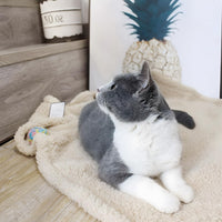 Pet Blanket, Soft Warm Sherpa Fleece Bed Blanket for Small Pets – Essentials for Cats - Beige & Beige Blanket / S-24x32'' 2PACK - image 3