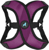 Gooby Comfort X Step-in Lite Harness, Choke-Free - Large (19-22") / Purple