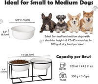 Ceramic Elevated Dog Bowls with Stand - Matte White / L × 2 - image 2