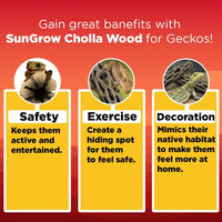 SunGrow Leopard Gecko Cholla Wood, Create Basking Spot - 3 Pack - image 3