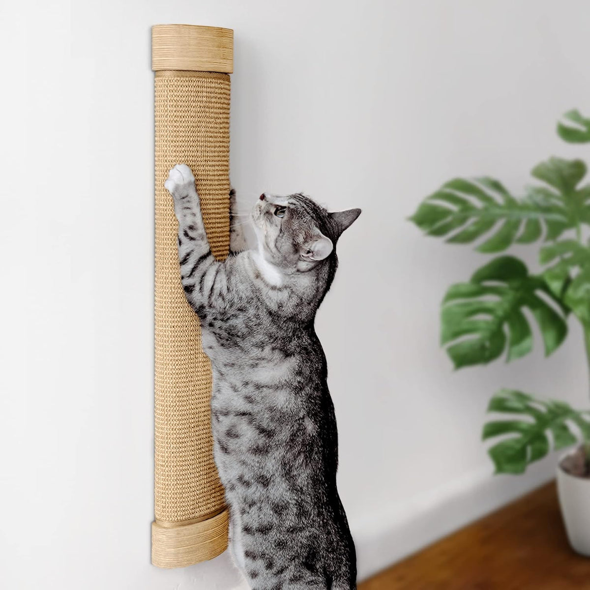 Wall Mounted Cat Scratcher, Replaceable Sisal Scratching Post – Essentials for Cats