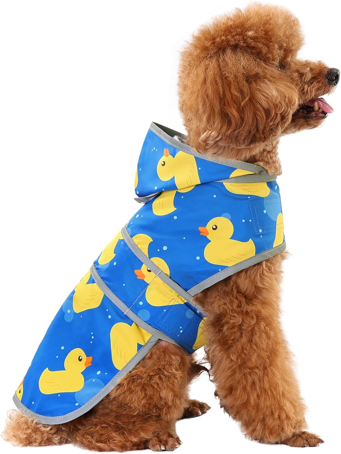 Dog Raincoat, Waterproof Dog Rain Jacket with Hood - Blue Duck / Small