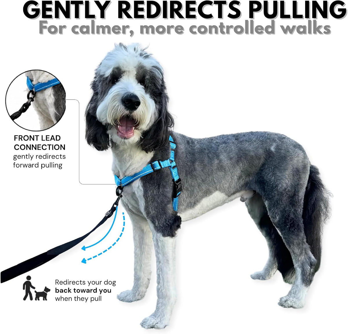 ShawnCo Dream Walk Pro No-Pull Dog Harness – Essentials for Dogs - Large / Oceanic Blue - image 2