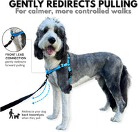 ShawnCo Dream Walk Pro no-pull dog harness in oceanic blue with front clip - view 2