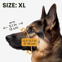 Stainless Steel Wire Basket Dog Muzzle for Husky – Essentials for Dogs - Stainless Steel / Cane Corso - image 2