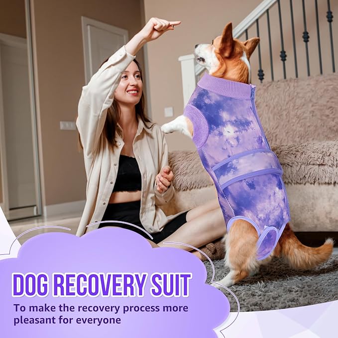 Lukovee Recovery Suit for Dogs, Zipper On Recovery Suit for Female Male Dog, Onesie Abdominal Wounds Cone E-Collar Alternative Prevent Licking Spay Recovery Suit (TPU,L)