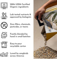 Flying Colors Premium Organic Wild Bird Seed | Squirrel-Proof Safflower Seed | 100% USDA Organic, No Fillers, No Pesticides | 3 Gallon Easy-Pour Carton