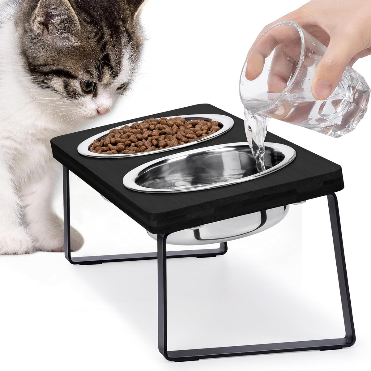 Elevated Cat Food Bowl for Indoor Cats - 2 Bowls / Black
