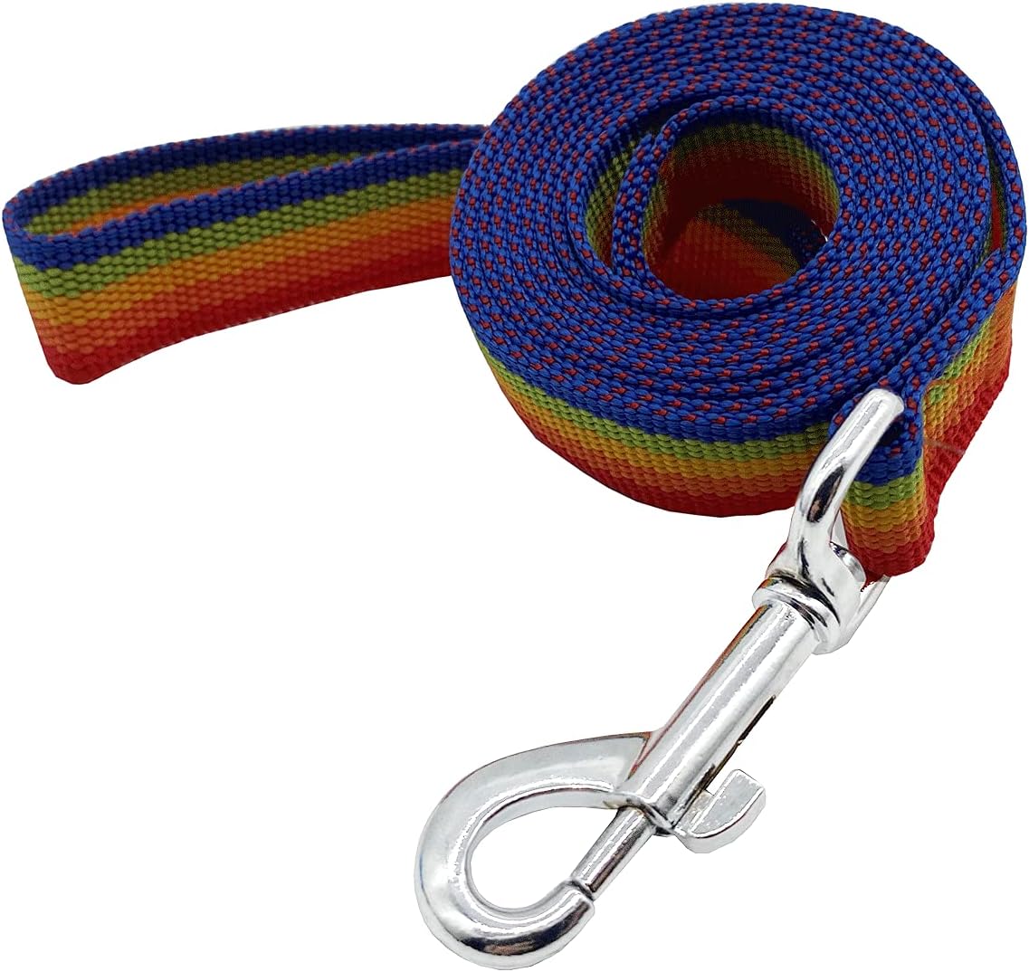 Nylon Dog Training Leash, Traction Rope - 1'' x 8 FT / Rainbow