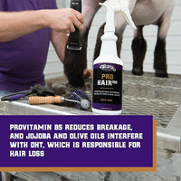 Weaver Leather Livestock Winner's Brand Pro Hair100 Shampoo, 1 Gallon