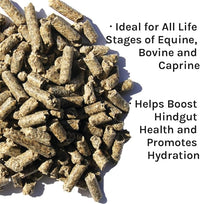 New Country Organics | Beet Pellets | Beet Pulp for Horses | Higher Fibre and Non-GMO | 40 lbs