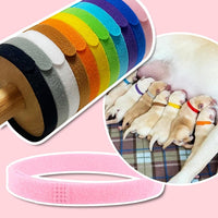 12 Colors Puppy Collars for Litter - M - image 3
