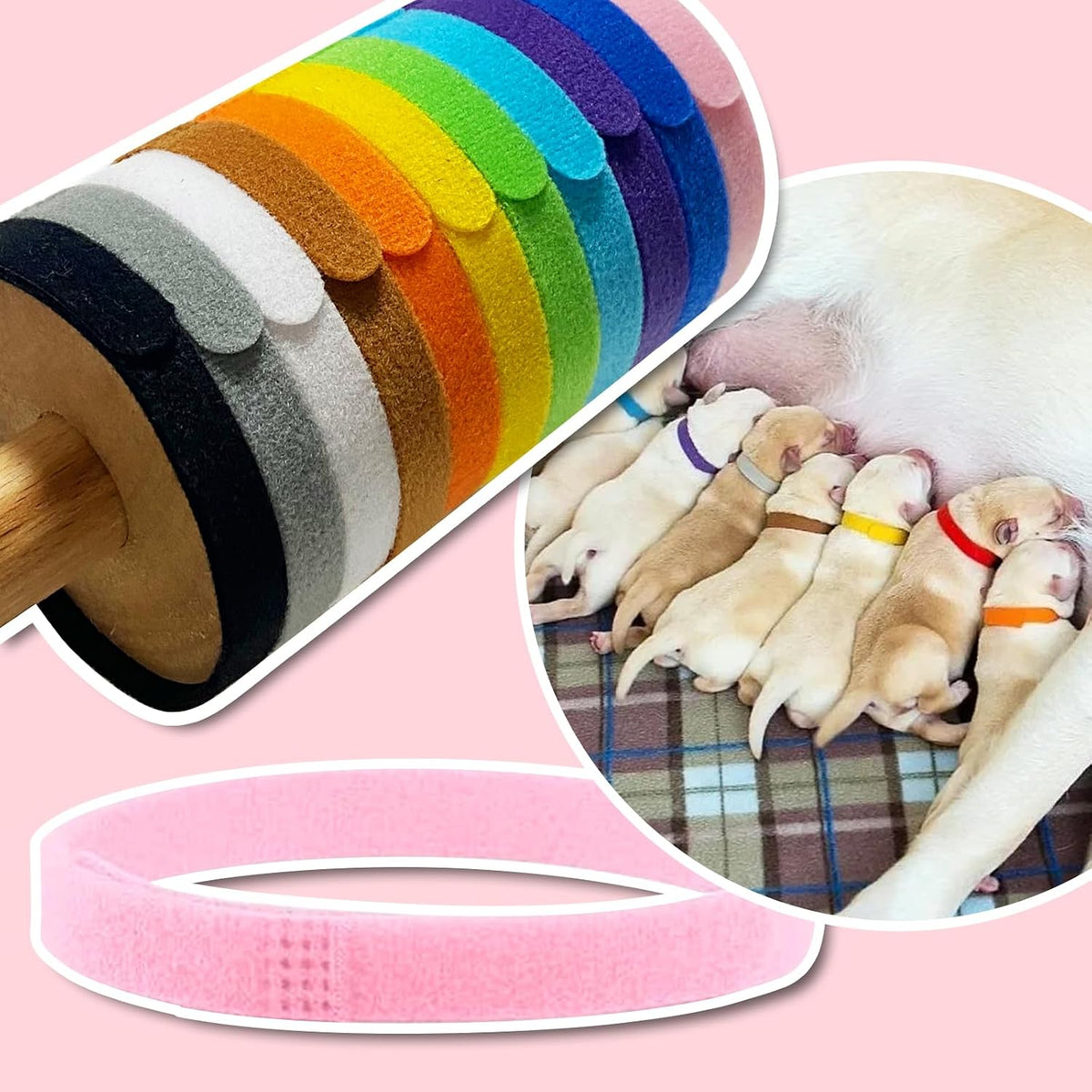 12 Colors Puppy Collars for Litter - M - image 3
