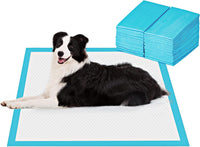 BESTLE Extra Large Pet Training and Puppy Pads Pee Pads for Dogs - 18-Count