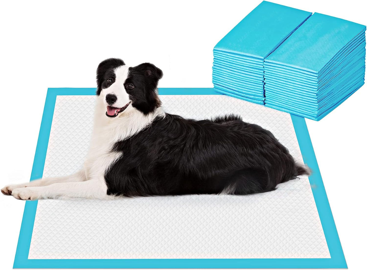 BESTLE Extra Large Pet Training and Puppy Pads Pee Pads for Dogs - 18-Count