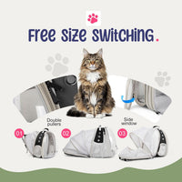 Dual Expandable Large Cat Backpack Carrier – Essentials for Cats - Black / Clear Window - image 3
