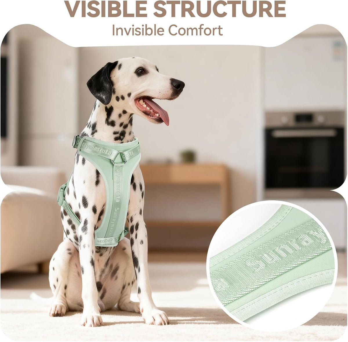 Sunraymascota Dog Harness - XL (Neck: 21-38", Chest: 29-45") / Light Green - image 2