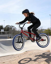 vollsch RUCKUS 20 inch kids freestyle BMX bike with pegs - view 22