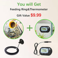 Freesea Automatic Fish Feeder for Aquarium: One-Touch Easy Setup & 3 - FS-069S - image 2