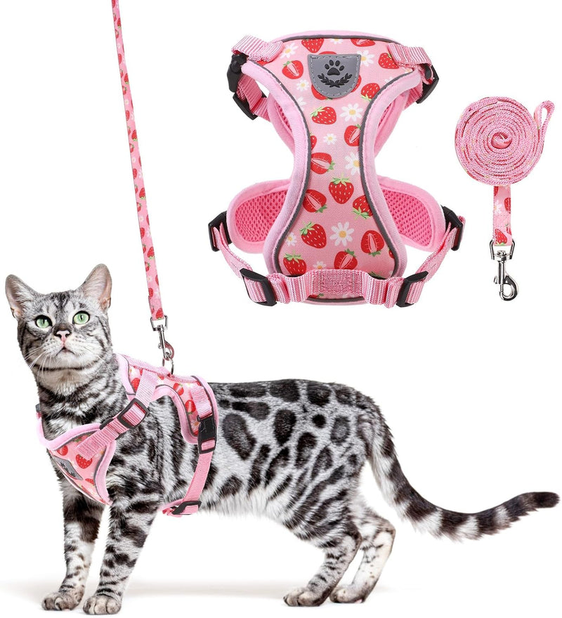 Cat Harness and Leash Set - Strawberry Pattern / Medium